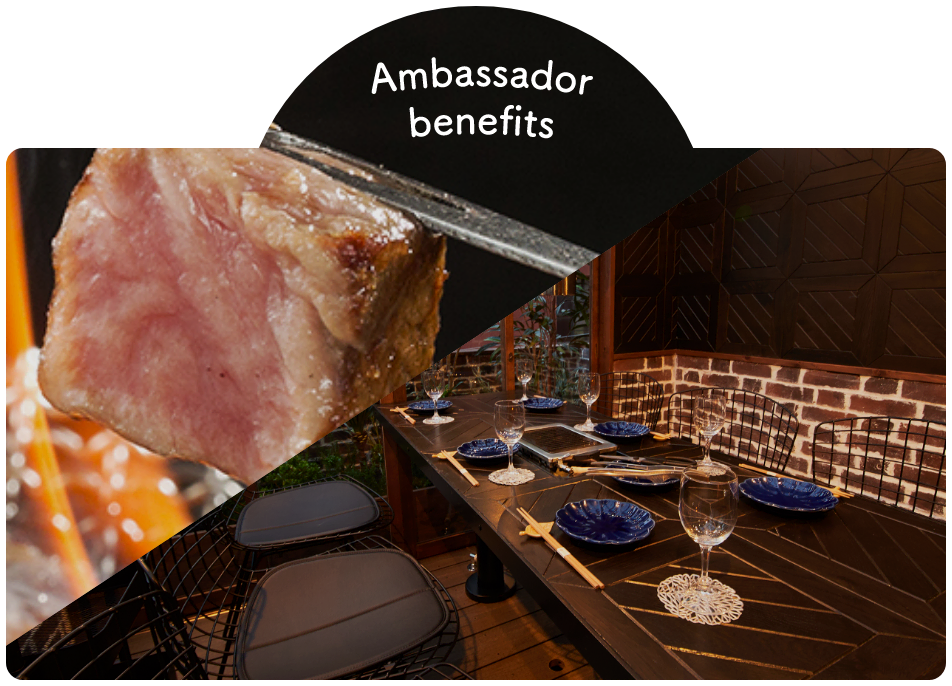Ambassador benefits 02